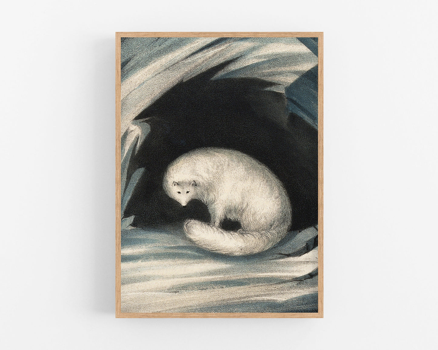 Arctic fox fine art print | Vintage wildlife | Winter illustration | Animal art |  Modern vintage décor | Ready to frame & gift