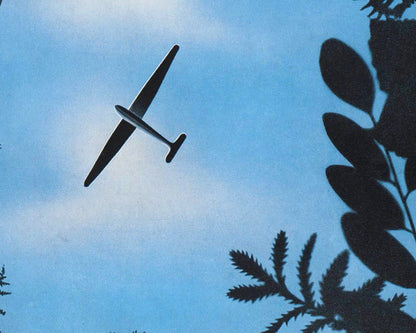 Avión de la Vogue francesa vintage | Vuelo y fauna | Ilustración del programa de televisión Lost | Arte art déco | Impresión artística giclée | Regalo ecológico