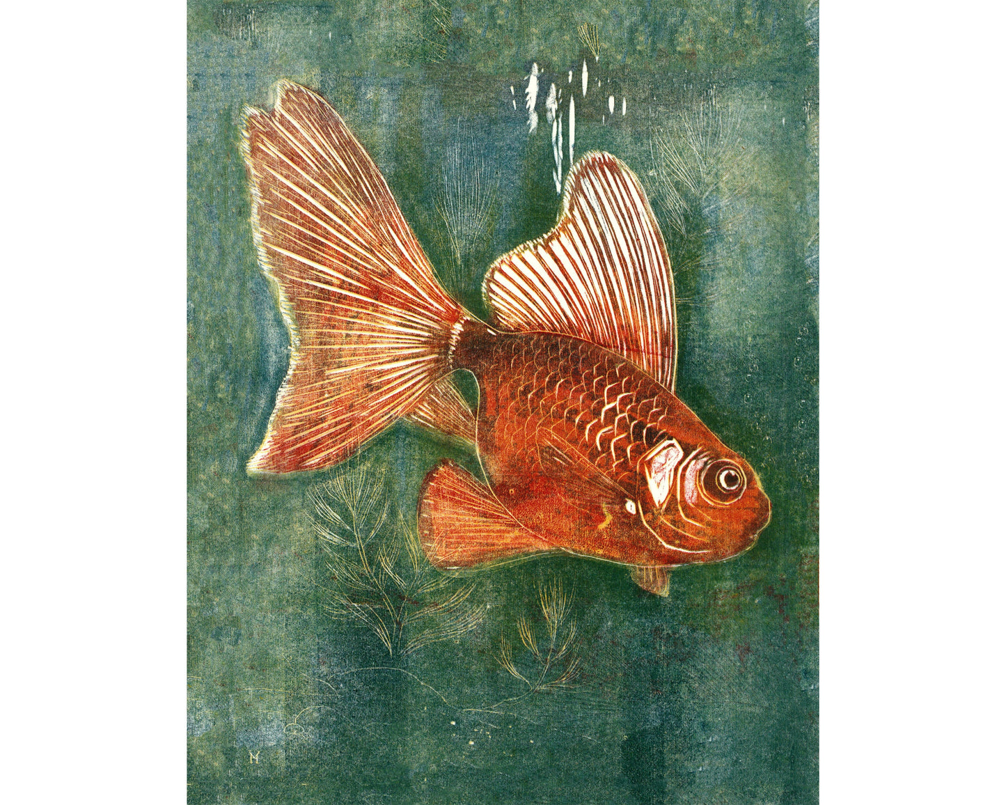 Vintage Veil Tale fish | Goldfish and aquarium wall decor | Color woodcut print | Art deco art | Giclée fine art print | Eco-friendly gift