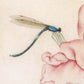 Vintage rose art print | Dragonfly, butterfly, bee, mosquito | 17th century Natural history painting | Eco-friendly gift