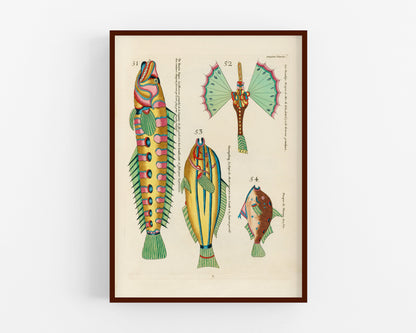 Arte antiguo sobre peces | Historia natural del siglo XVIII | Ilustración de animales tropicales, marinos y de acuarios | Vertical u horizontal | Regalo ecológico