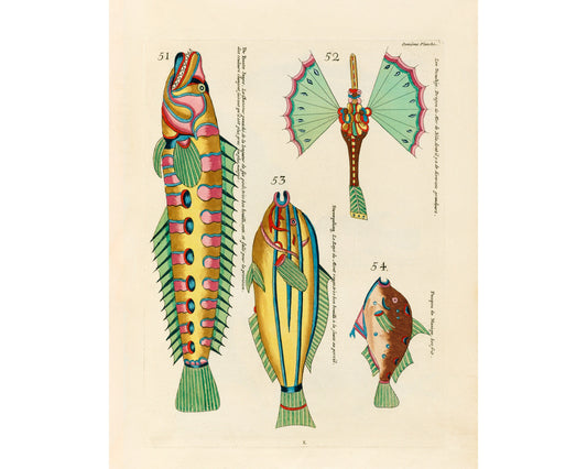 Arte antiguo sobre peces | Historia natural del siglo XVIII | Ilustración de animales tropicales, marinos y de acuarios | Vertical u horizontal | Regalo ecológico