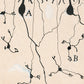 Vintage neuron drawing No. 3 by Santiago Ramón y Cajal