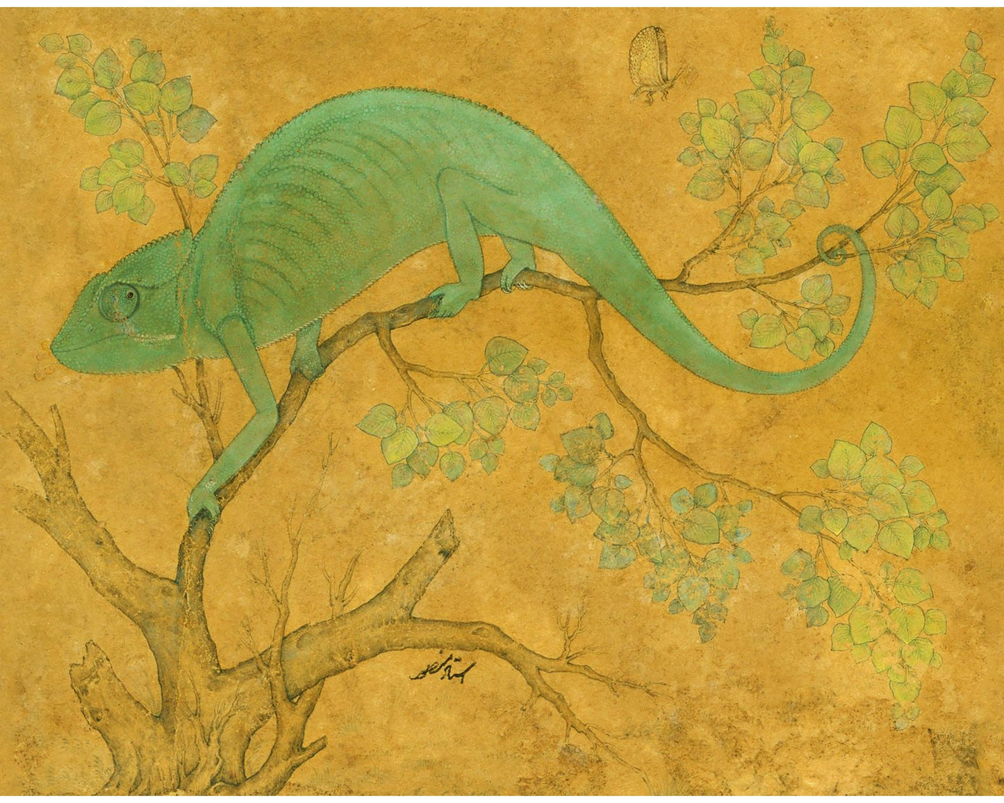 Chameleon in a tree | 17th century natural science | Antique Animal and Nature art | Indian painter Ustad Mansur | Eco-friendly