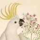 Antique cockatoo & flower art | 18th century bird illustration | Natural history | Animal wall décor | Modern vintage | Eco-friendly gift