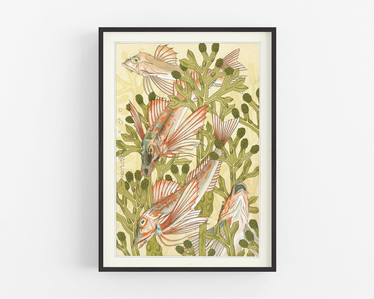 Art nouveau Fish | Red mullet art | Verneuil L'animal dans la Décoration | Natural History print | Modern vintage décor | Eco-friendly gift