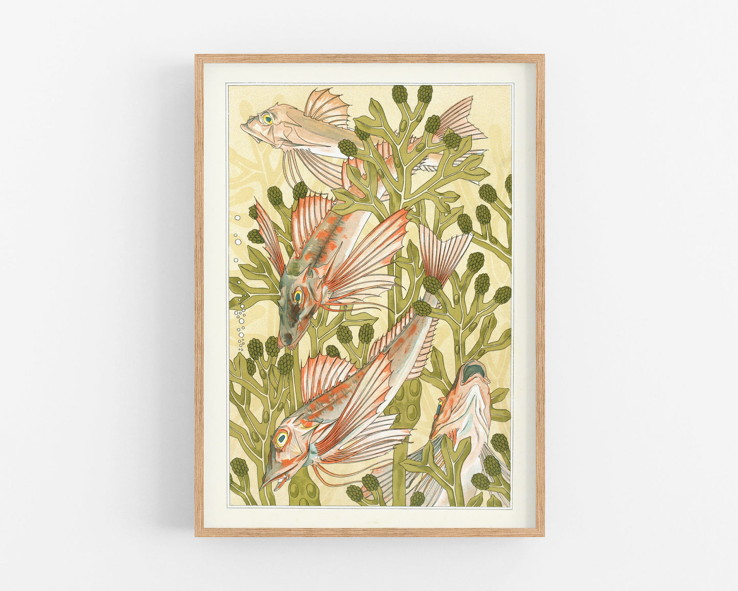 Art nouveau Fish | Red mullet art | Verneuil L'animal dans la Décoration | Natural History print | Modern vintage décor | Eco-friendly gift