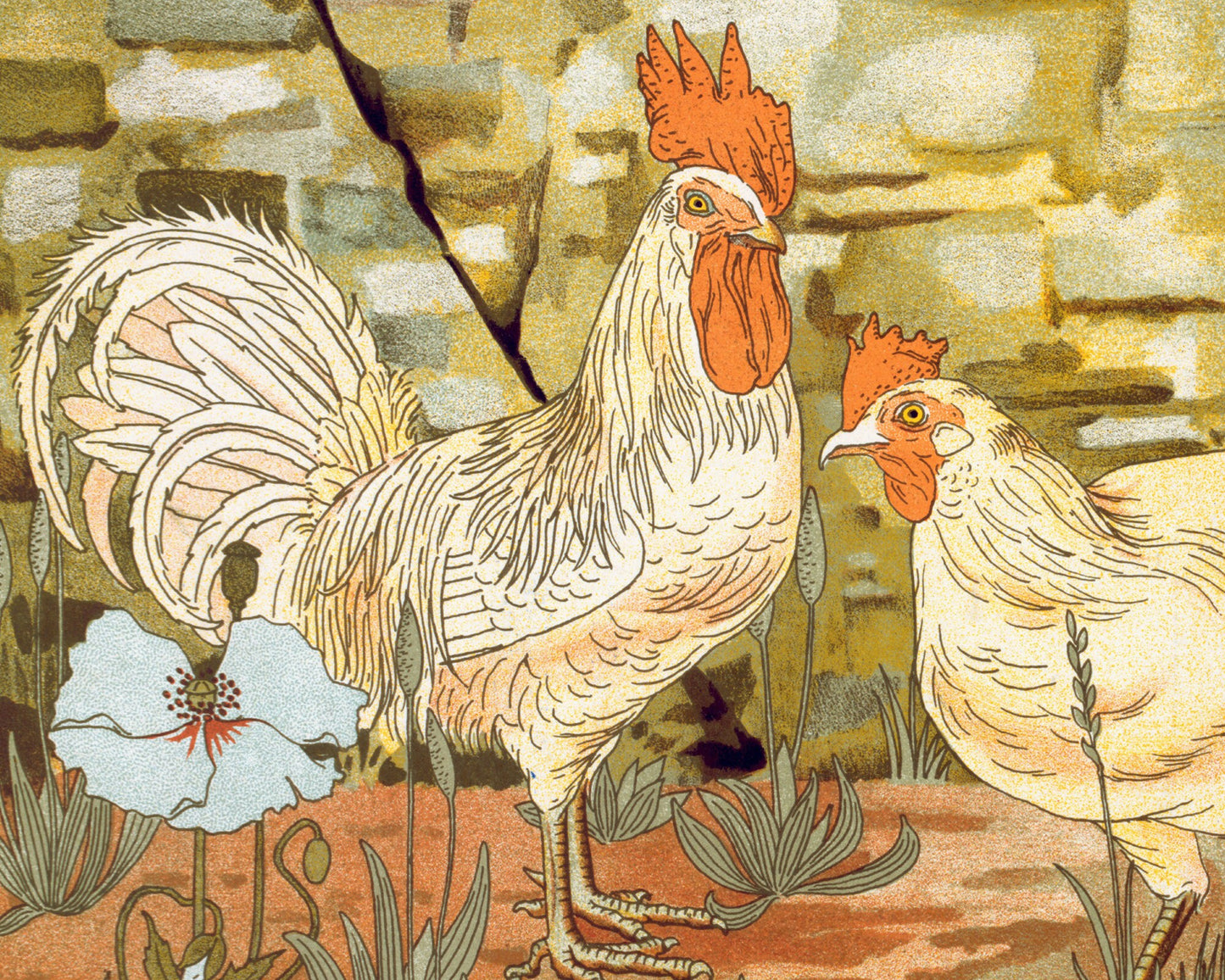 Art nouveau chicken | L'animal dans la Décoration | Farm animal print | Natural History art | Modern vintage décor | Eco-friendly gift