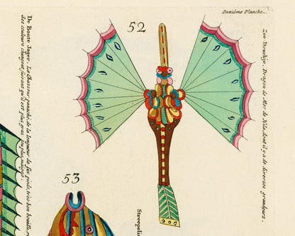 Arte antiguo sobre peces | Historia natural del siglo XVIII | Ilustración de animales tropicales, marinos y de acuarios | Vertical u horizontal | Regalo ecológico
