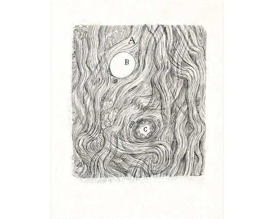 Dibujo de neurona vintage nº 4 | Santiago Ramón y Cajal | Ilustración anatómica antigua | Arte mural de neurociencia y biología | Artista español