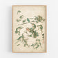 Vintage frog art | Battle of the frogs | Kawanabe Kyosai sketch | 19th century Asian art | Water, swamp animal | Modern vintage décor