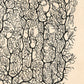 Vintage neuron drawing No. 1 | Santiago Ramón y Cajal | Antique anatomical illustration | Neuroscience & Biology | Abstract art | Spanish artist