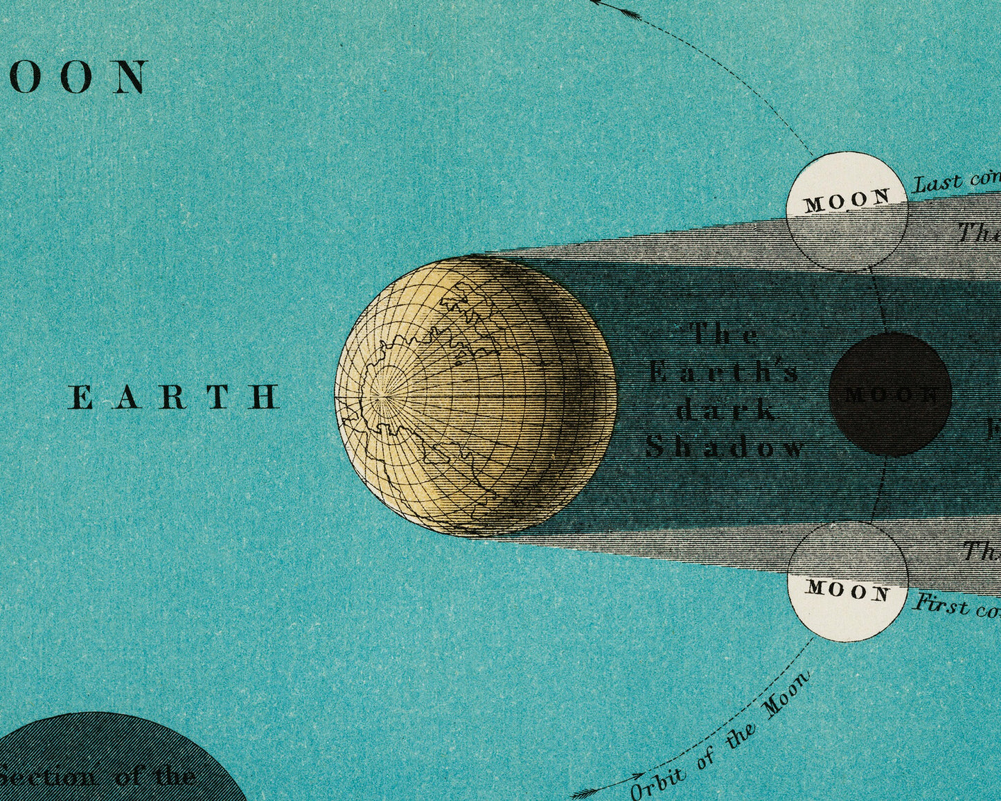 Eclipse of the moon lithograph | Celestial chart of moon phases in solar system | Antique moon and sun wall art | Modern Vintage decor