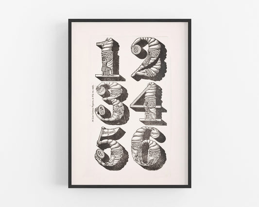 Vintage typography art | Specimens of type | Antique Numbers wall art | Victorian gothic antique lettering | Modern Vintage decor