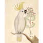 Antique cockatoo & flower art | 18th century bird illustration | Natural history | Animal wall décor | Modern vintage | Eco-friendly gift