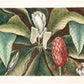 Antique magnolia tree art | 18th century Mark Catesby | Natural history illustration | Modern vintage décor | Eco-friendly gift