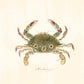 Vintage Hawaiian crab | Female artist Gertrude Norrie | Natural history art | Water, ocean animal | Modern vintage décor | Eco-friendly gift