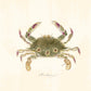 Vintage Hawaiian crab | Female artist Gertrude Norrie | Natural history art | Water, ocean animal | Modern vintage décor | Eco-friendly gift