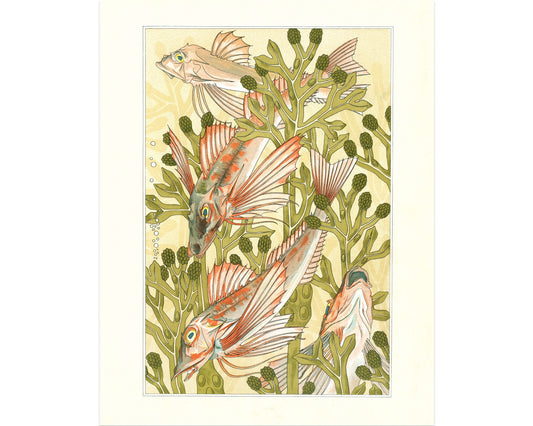 Pescado modernista | Arte salmonetes | Verneuil El animal en la decoración | Impresión de Historia Natural ? Decoración vintage moderna | Regalo ecológico