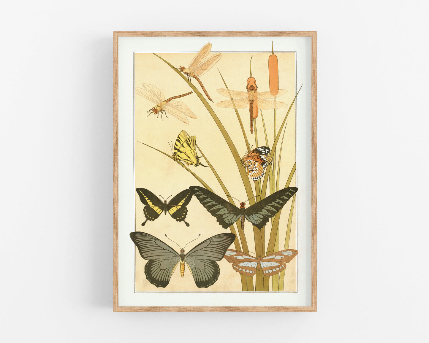 Art nouveau Butterfly & Dragonfly | L'animal dans la Décoration | Natural History art print | Modern vintage décor | Eco-friendly gift