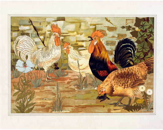 Pollo modernista | El animal en la decoración | Estampado de animales de granja | Arte de historia natural | Decoración vintage moderna | Regalo ecológico