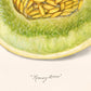 Fruit fine art print | Melon painting | Honey dew illustration | Female artist | Food and kitchen wall art | Minimalist art | Dept. of Ag