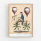 Vintage French hot air balloon | Flying bicycle  | Paris, France | Travelers and fantasy wall decor | Modern Vintage decor