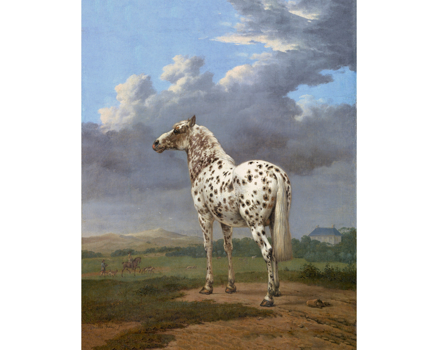 Spotted horse art print | Antique piebald horse | Animal fine art | Vintage equine painting | Horse wall art | Farm and ranch decor