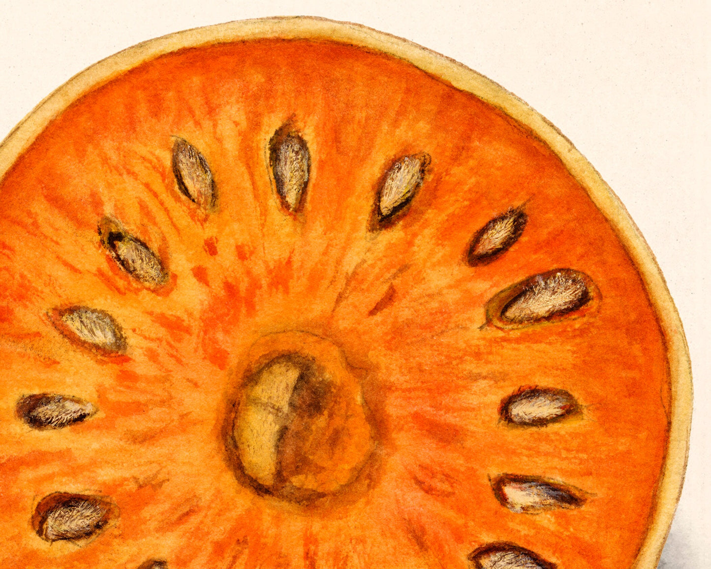 Impresión artística de la fruta india Bael | Manzana dorada, de piedra y de madera | Naranja amarga japonesa | Artista femenina | Arte mural de comida y cocina | Departamento de Agricultura