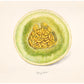 Fruit fine art print | Melon painting | Honey dew illustration | Female artist | Food and kitchen wall art | Minimalist art | Dept. of Ag