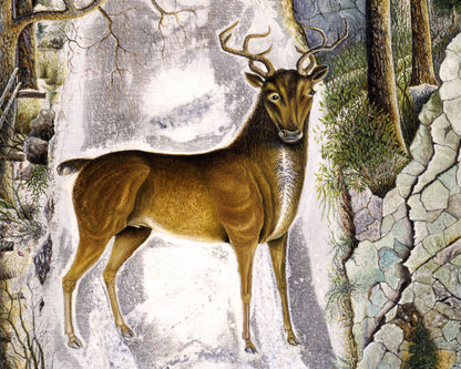 Impresión artística de ciervo en la roca Echo | Pintura de ciervo, caballo y búho | Arte popular americano vintage | Arte mural de animales salvajes | Arte primitivo