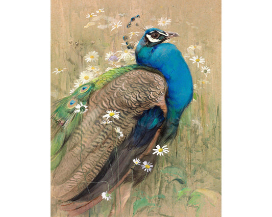 Vintage peacock in daisies print | Decorative bird fine art | Marguerites flowers painting | Bird and flower wall art | Exotic animal art