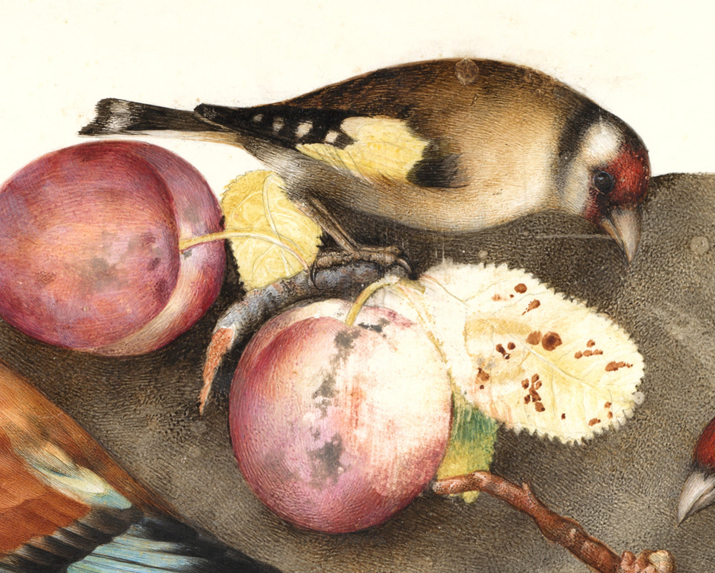 Impresión artística de naturaleza muerta | Pintura vintage de pájaros y frutas | Arte mural de animales | Jilguero, pera, melocotón, ciruelas | Artista femenina | Arte italiano antiguo