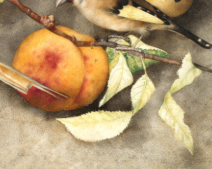Impresión artística de naturaleza muerta | Pintura vintage de pájaros y frutas | Arte mural de animales | Jilguero, pera, melocotón, ciruelas | Artista femenina | Arte italiano antiguo