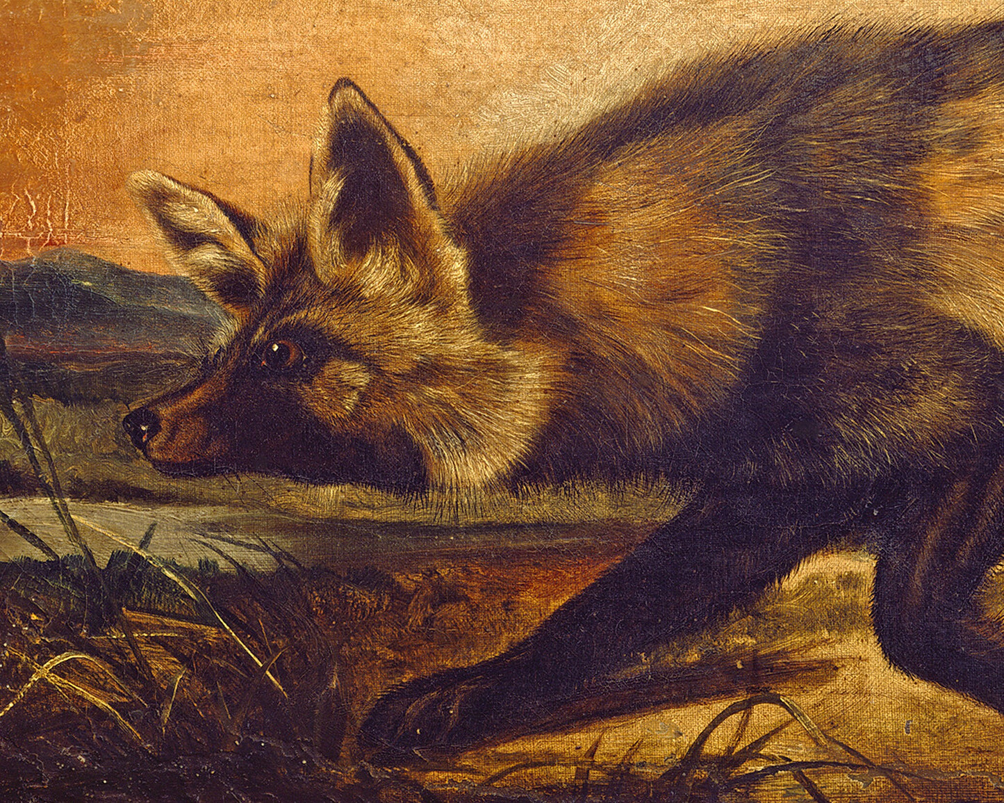 Vintage fox print | John Woodhouse Audubon | Red fox painting | Antique animal art | Woodland wall art | Moody natural history