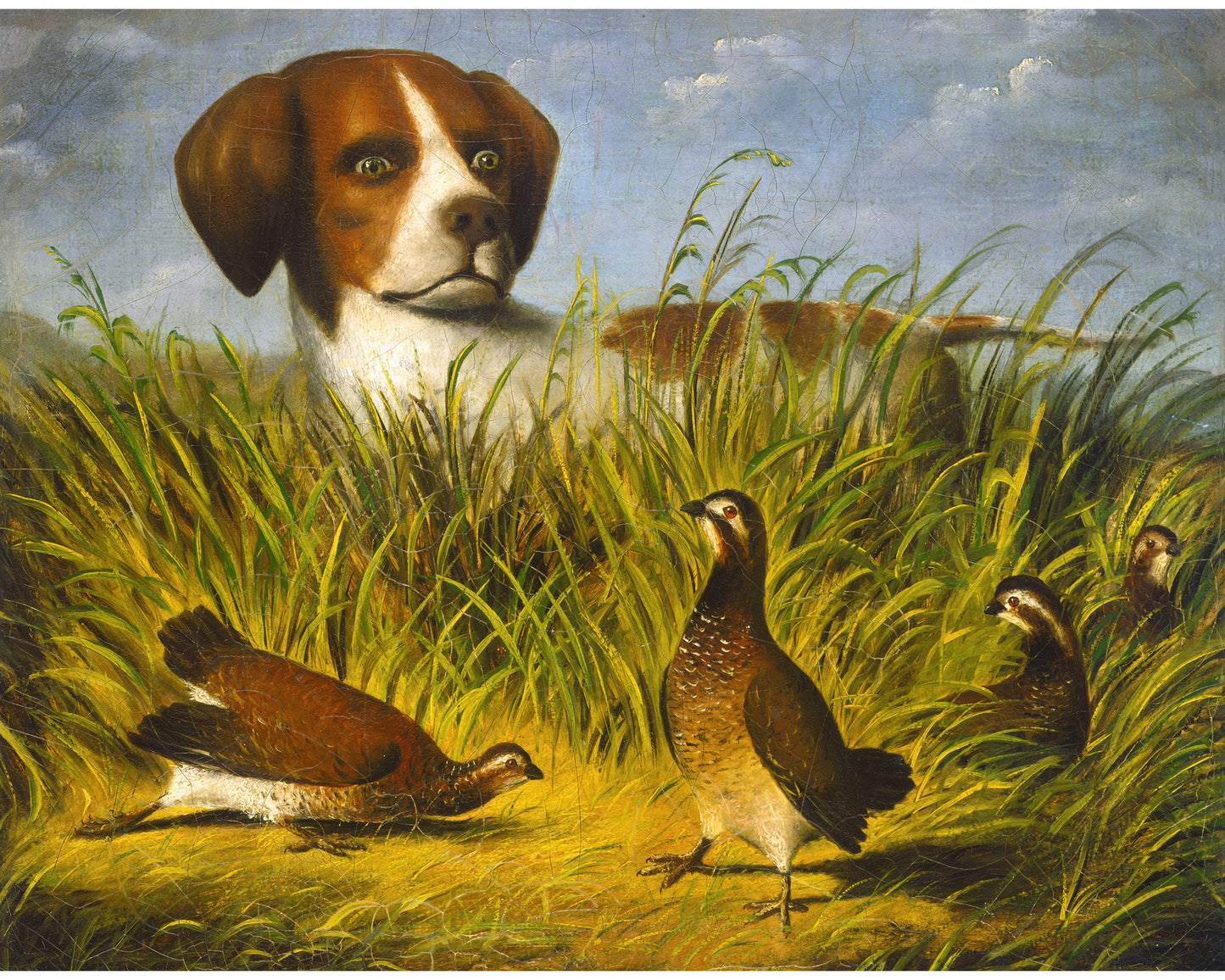 Vintage bird dog portrait | English pointer dog painting | Hunting dog wall art | Bird dog with grouse | Antique animal art | D.G. Stouter