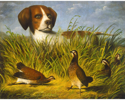 Retrato de perro de caza vintage | Pintura de perro pointer inglés | Arte mural de perro de caza | Perro de caza con urogallo | Arte animal antiguo | DG Stouter