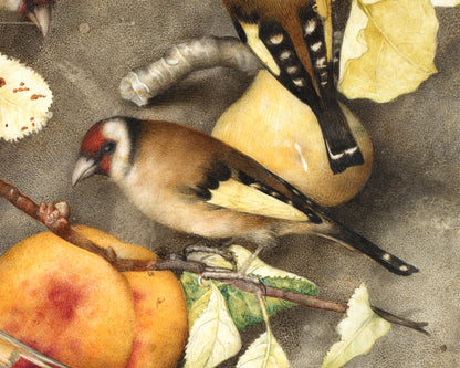 Impresión artística de naturaleza muerta | Pintura vintage de pájaros y frutas | Arte mural de animales | Jilguero, pera, melocotón, ciruelas | Artista femenina | Arte italiano antiguo