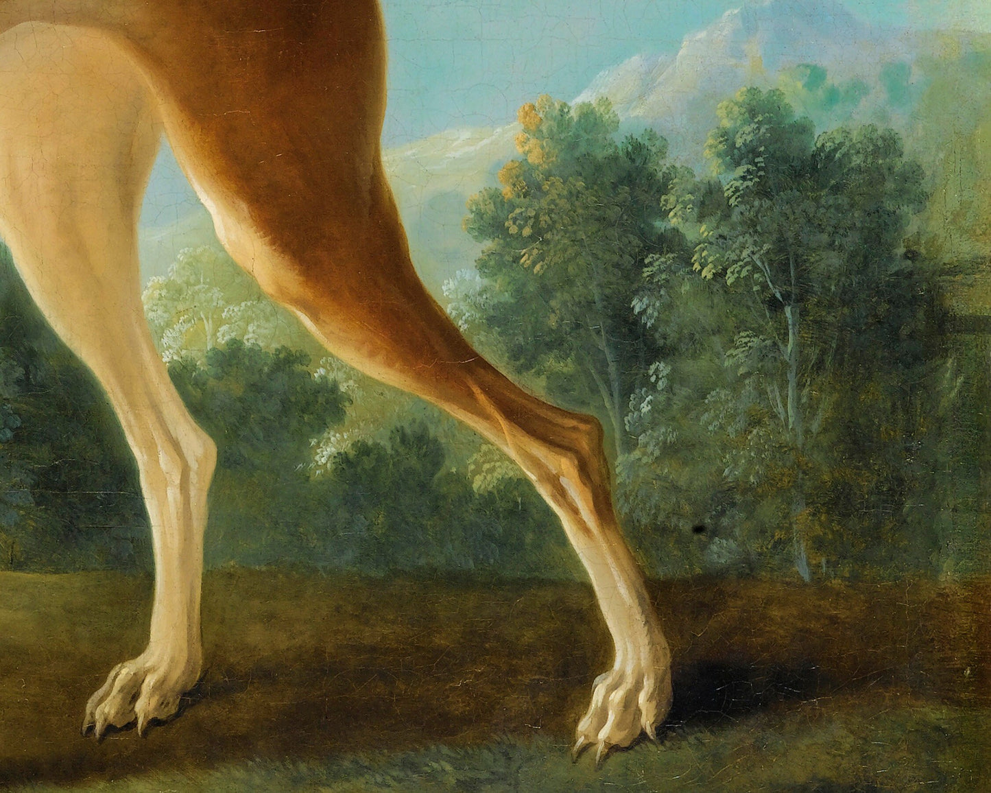 Retrato de perro antiguo | Galgo en un paisaje | Arte mural canino en la naturaleza | Arte animal antiguo | Artista francés | Jean-Baptiste Oudry