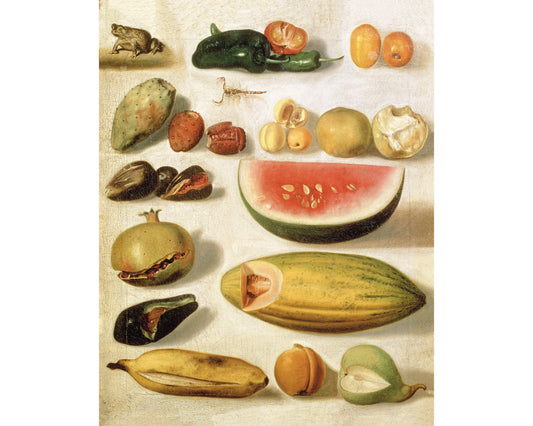 Bodegón con frutas (con escorpión y rana) de Hermenegildo Bustos (1874)