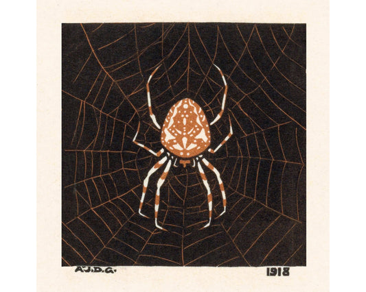 Vintage spider web art | Art nouveau insect woodcut print | Arachnid wall art | Julie de Graag | Female artist | Vintage Halloween décor