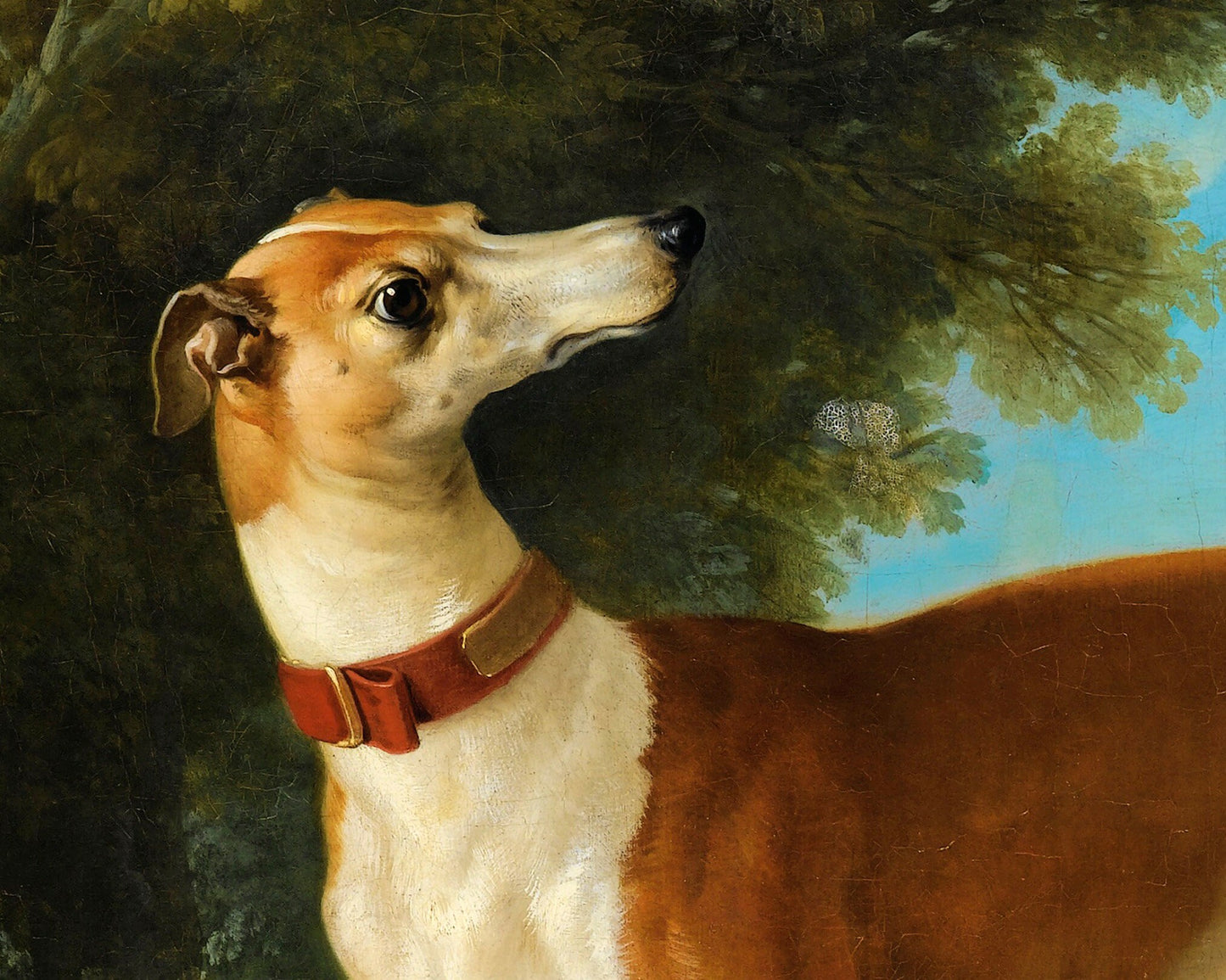 Retrato de perro antiguo | Galgo en un paisaje | Arte mural canino en la naturaleza | Arte animal antiguo | Artista francés | Jean-Baptiste Oudry