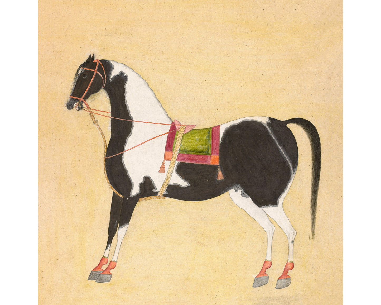 Horse art print | The Iraqi Steed Jugaldan | Animal wall art | Piebald horse and saddle | Indian artist | Bhavani Das | 1720