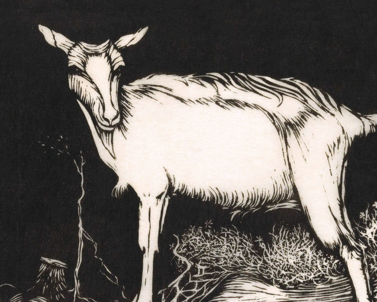 Vintage animal fine art print | White Goat | Black and white woodcut | Farm wall art | Jan Mankes | Dutch artist