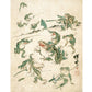 Vintage frog art | Battle of the frogs | Kawanabe Kyosai sketch | 19th century Asian art | Water, swamp animal | Modern vintage décor