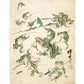 Vintage frog art | Battle of the frogs | Kawanabe Kyosai sketch | 19th century Asian art | Water, swamp animal | Modern vintage décor