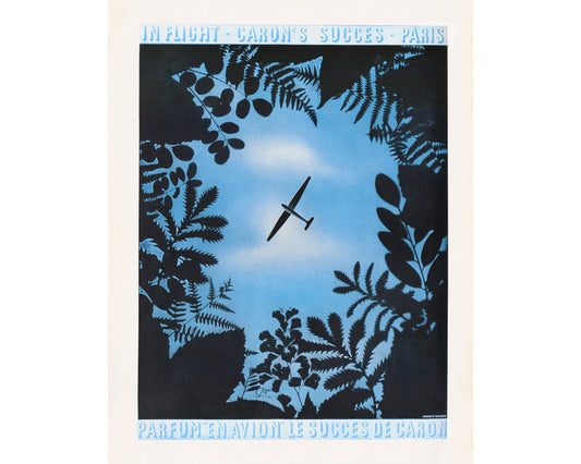 Avión de la Vogue francesa vintage | Vuelo y fauna | Ilustración del programa de televisión Lost | Arte art déco | Impresión artística giclée | Regalo ecológico