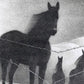 Vintage horses fine art print | February | Grant Wood | Animal art | Farm wall art | Black and white illustration | Modern vintage décor