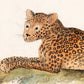 Vintage cheetah print | Antique animal art | Naturalist journal | Jungle cat wall art | Zoology illustration | Wild animal portrait