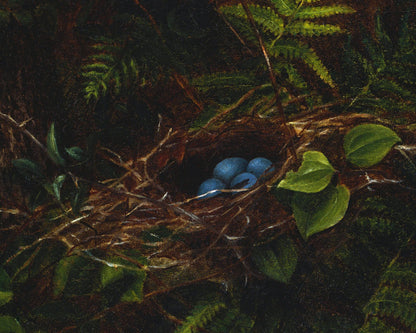 Nido de pájaro y helechos | Impresión vintage de huevos de pájaro | Arte de granja y animales | Arte mural de historia natural | Artista femenina | Fidelia Bridges